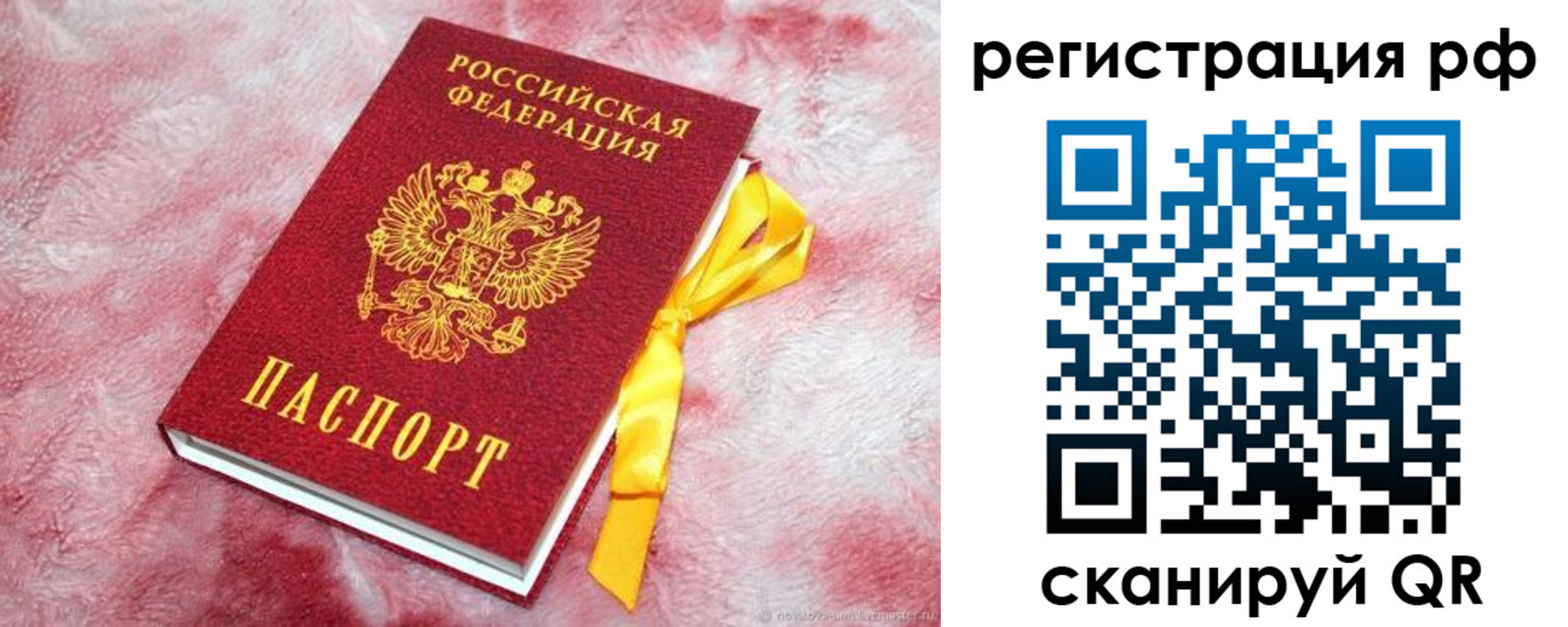 прописка в Владимирской области